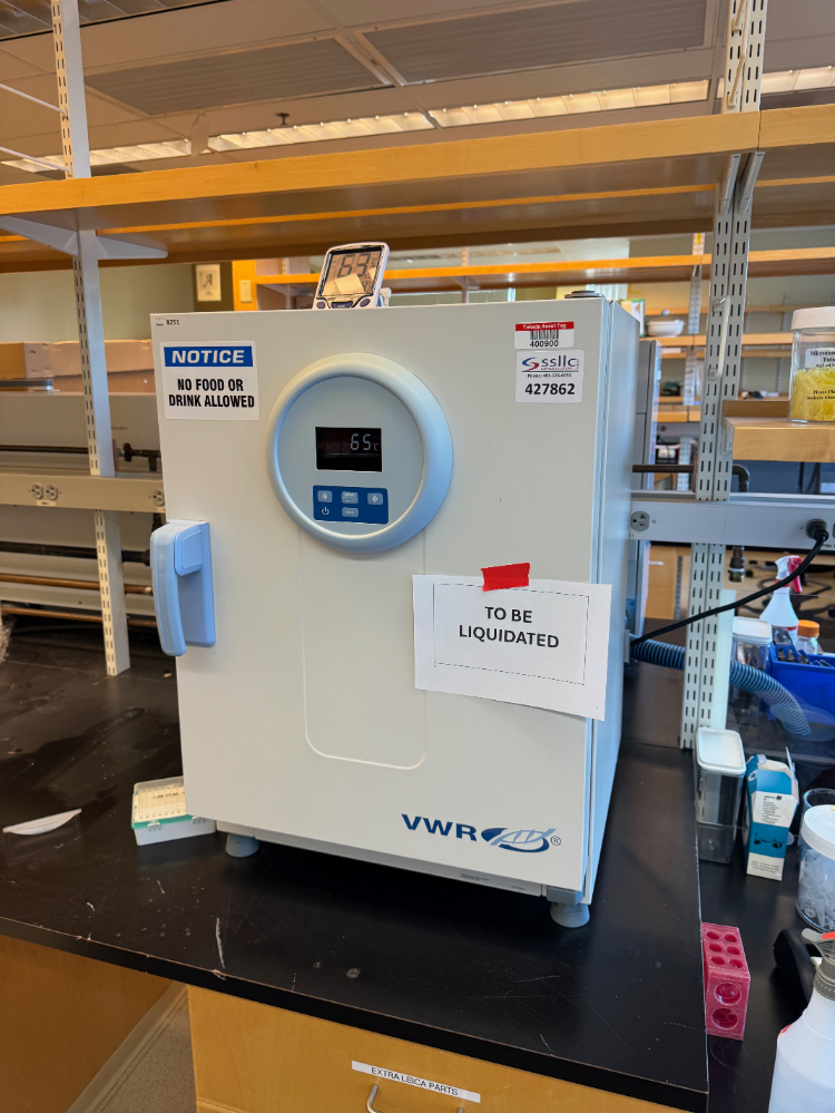 Image of VWR Gravity Convection Oven